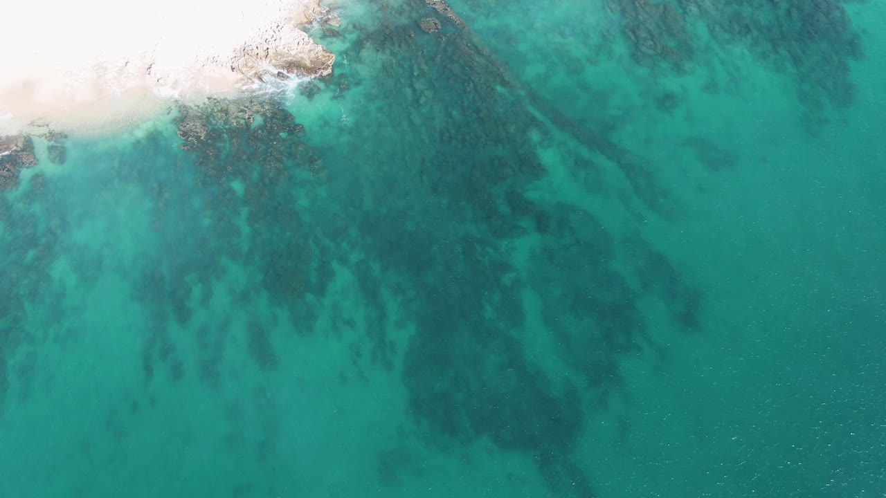 Overhead frame at Buzzards Beach, Baja California Sur, showing white sand at the upper left, clear turquoise ocean, dark submerged rocks, and no visible people.