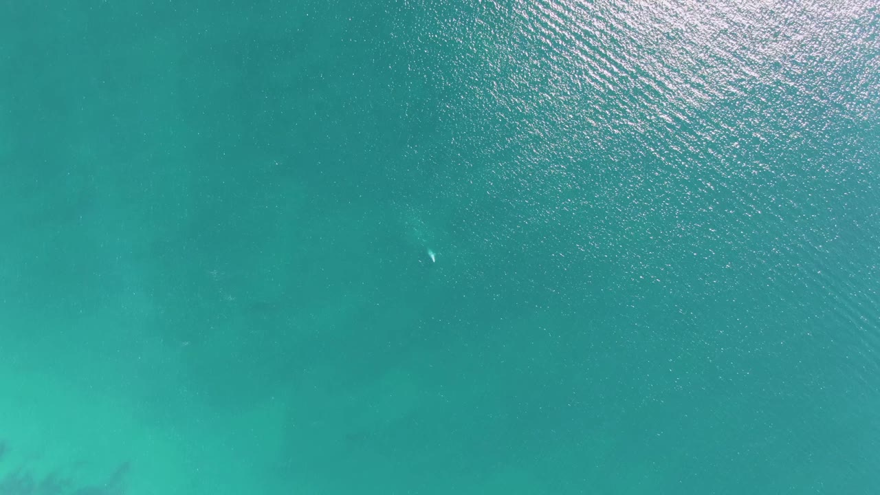 Turquoise ocean surface with faint underwater patches and sunlight ripples.