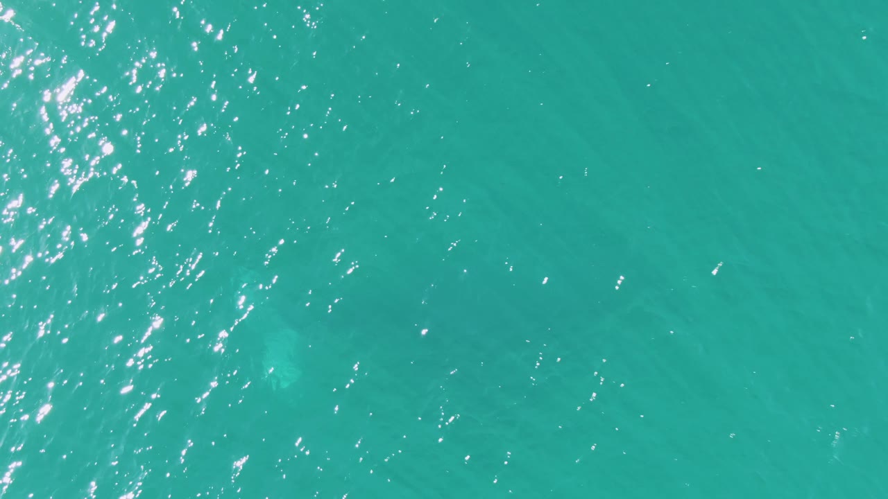 Overhead Buzzards Beach water view with a narrow band of strong sun glints and a subdued marine animal shape beneath the turquoise surface, no visible people.