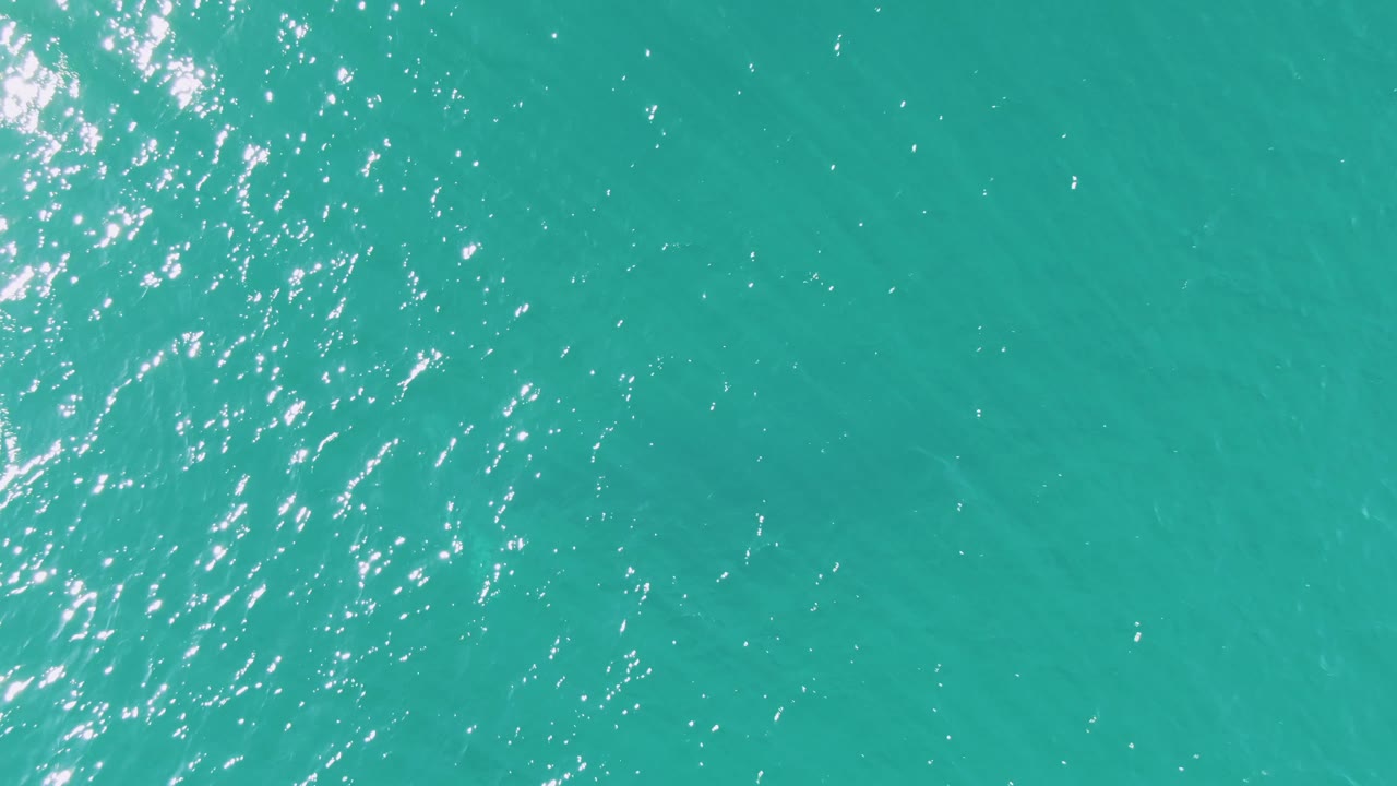 Turquoise ocean surface with ripples and a faint underwater animal near the left edge.