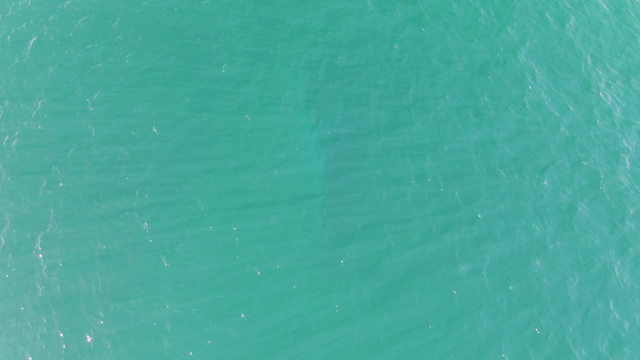 Turquoise ocean surface with gentle ripples and small sunlight reflections.