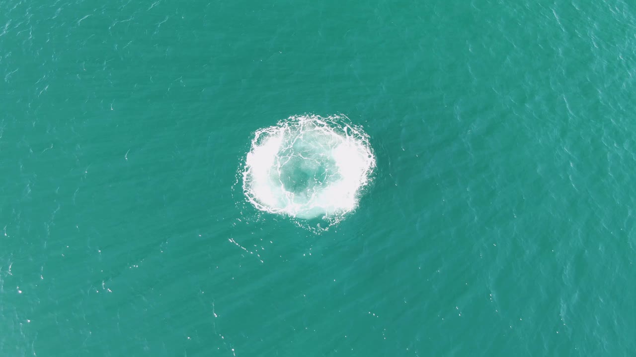 Overhead view of a compact white circular splash forming in turquoise ocean water at Buzzards Beach, Baja California Sur, with no visible people.