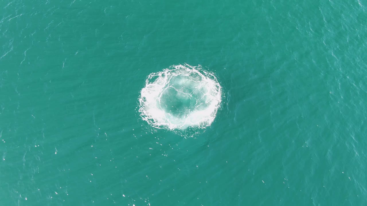Aerial frame of the white splash ring still concentrated on open turquoise water at Buzzards Beach, with faint ripples and no visible people.