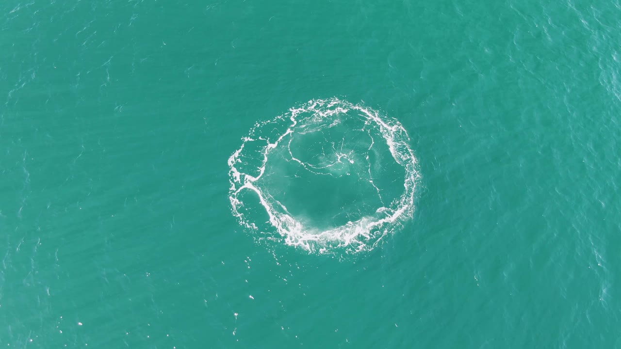 Circular foam ring spreading on turquoise water.