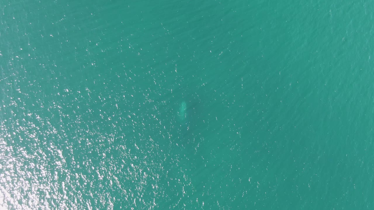 Turquoise ocean surface with sun glare and faint underwater texture.