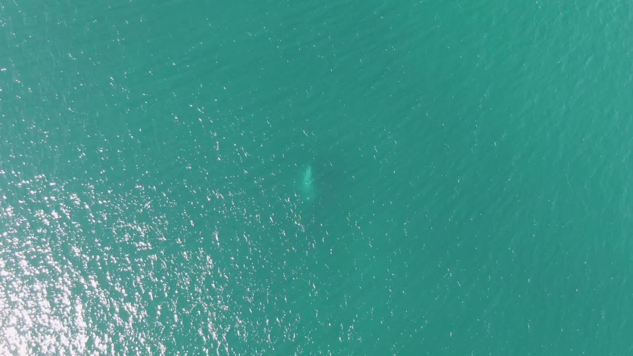 Aerial frame over Buzzards Beach water showing a wide silver reflection patch, subtle current lines, and no visible people.