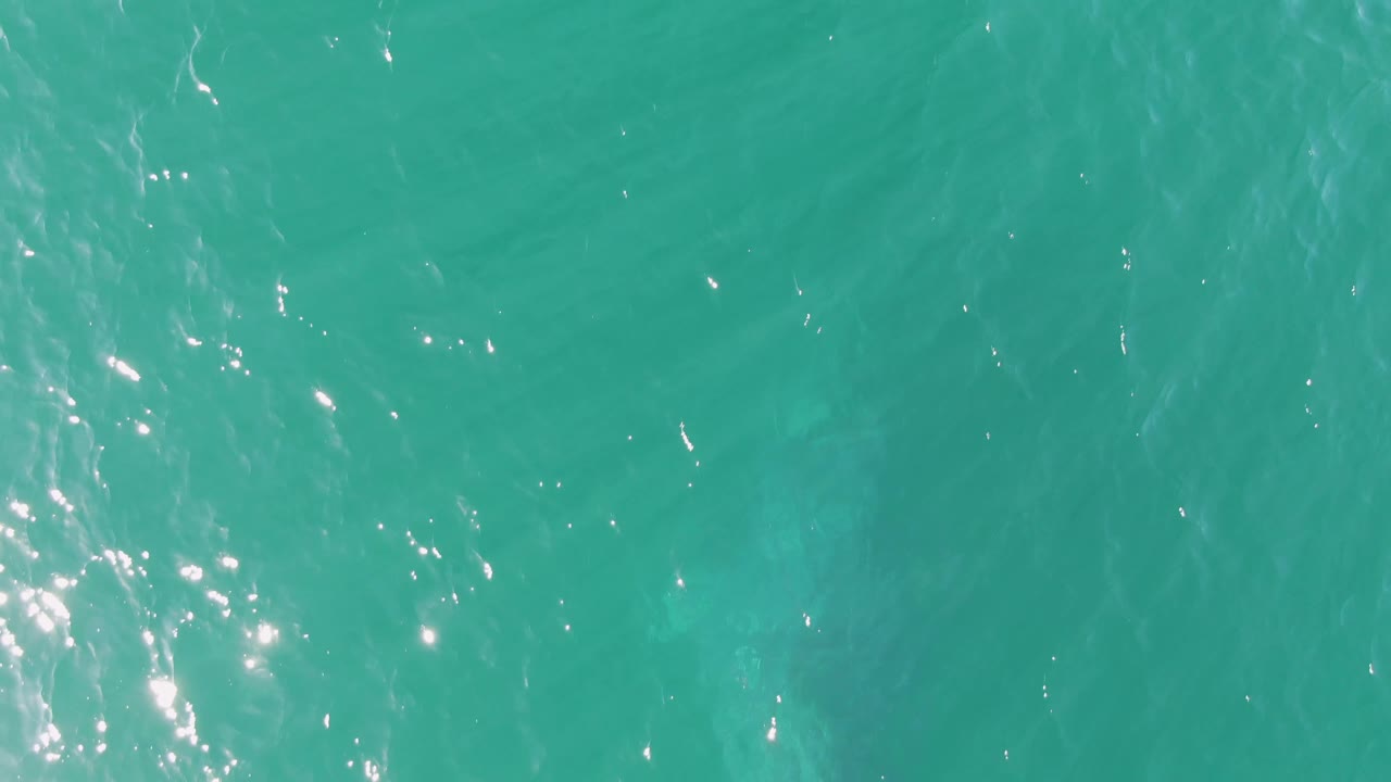Turquoise ocean surface with scattered sunlight sparkles.