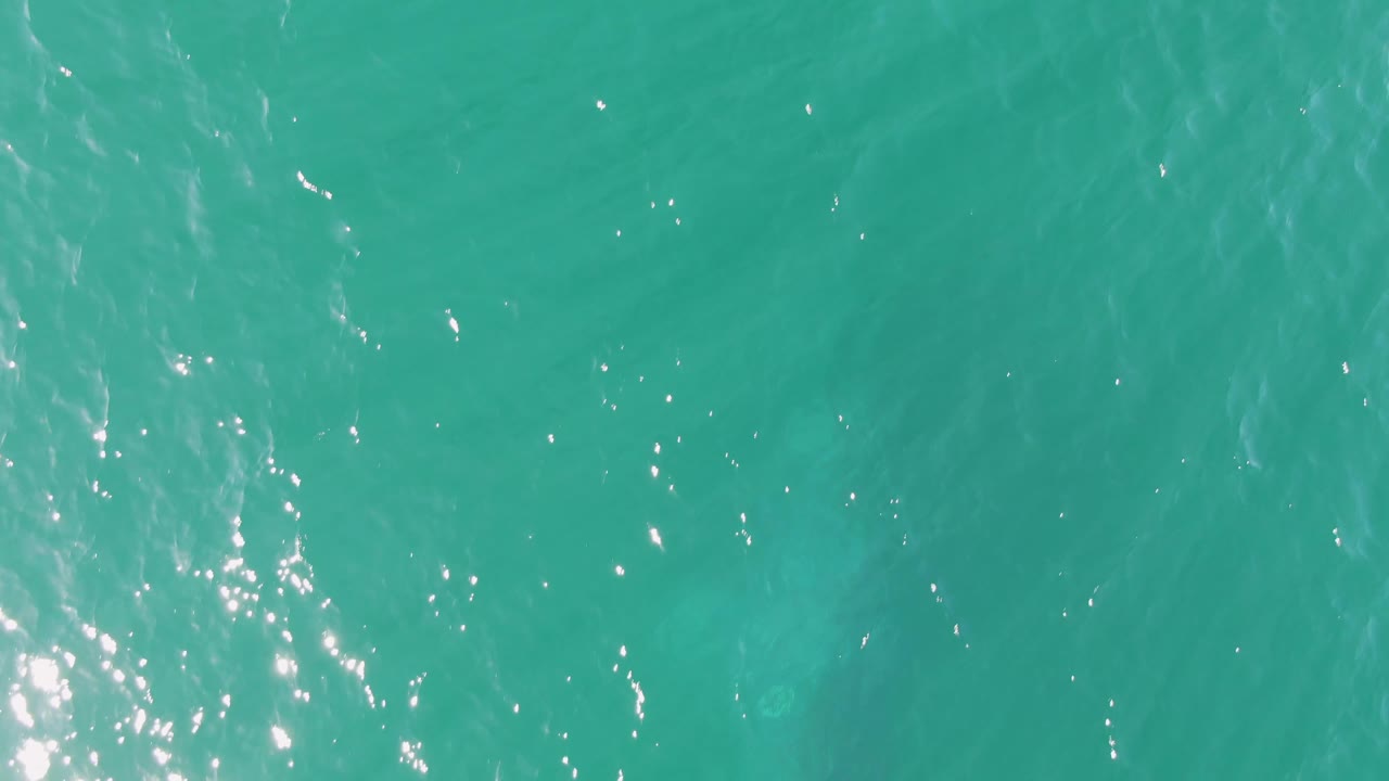 Turquoise sea surface at Buzzards Beach with thin white light glints crossing the center-left water and no visible people.