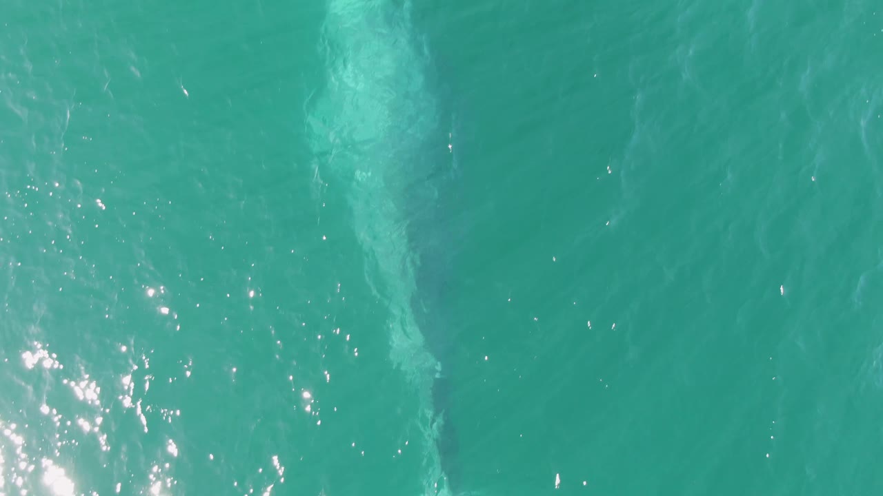 Turquoise water at Buzzards Beach, Baja California Sur, with scattered sun glints and a pale marine animal shape just below the surface, no visible people.