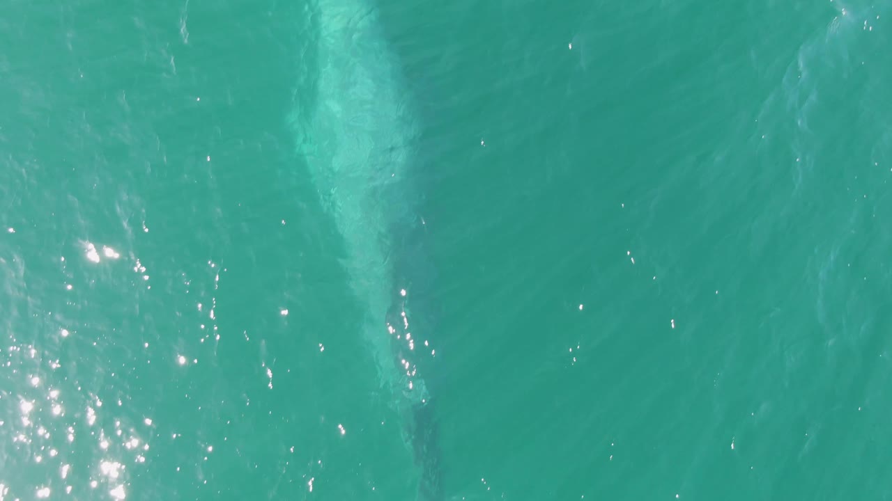 Clear teal ocean at Buzzards Beach with a faint elongated marine animal form under the water and small white highlights across the surface, no visible people.