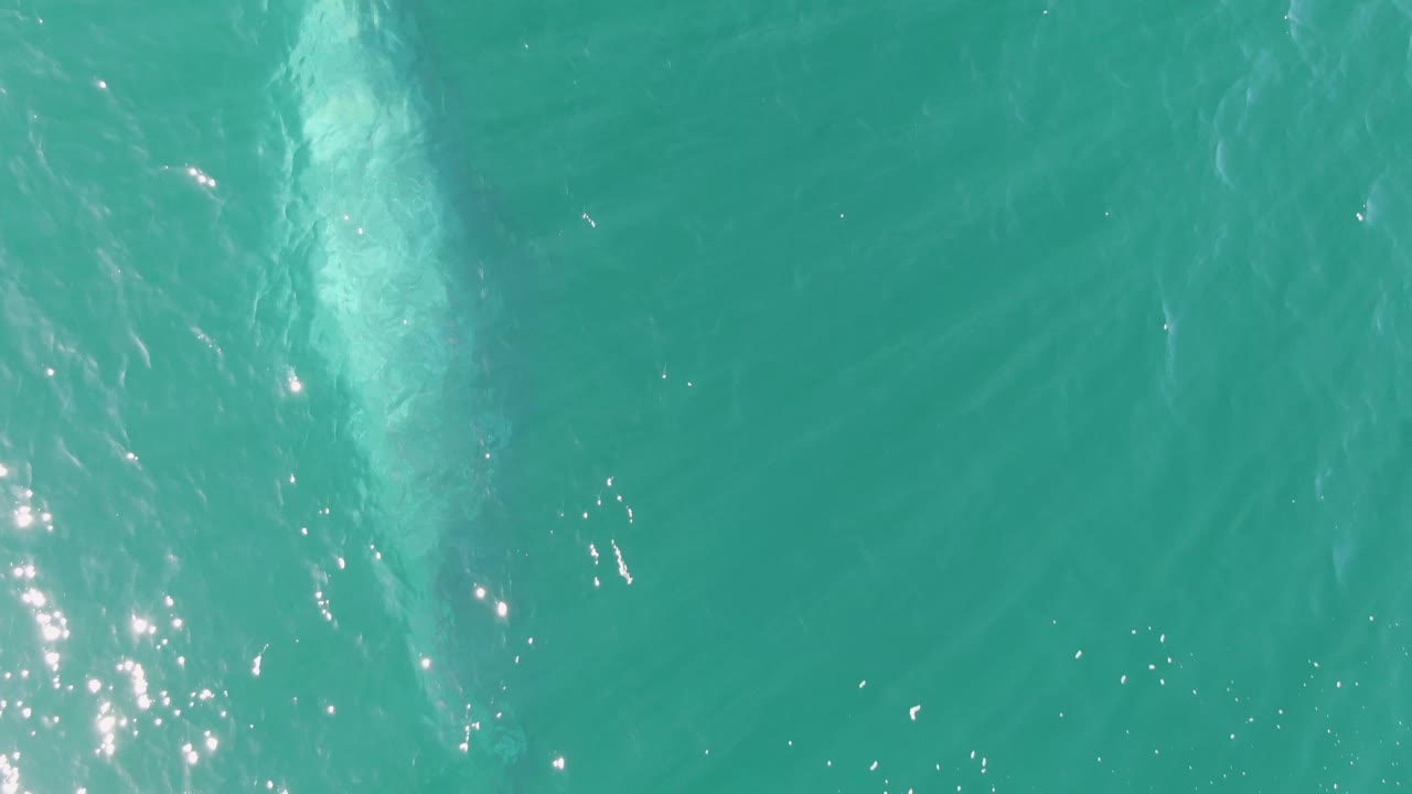 Aerial view in Baja California Sur with the marine animal faintly visible below the clear water beside a brighter vertical reflection patch and no visible people.
