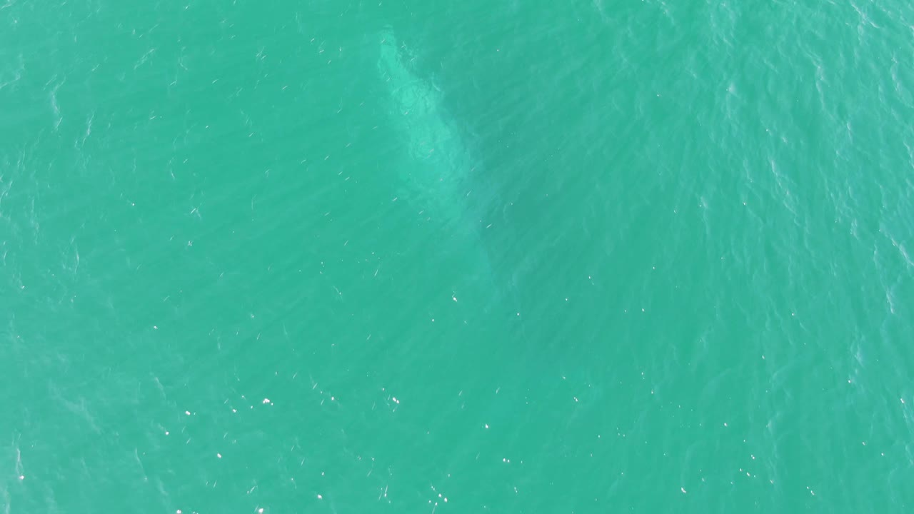 A pale submerged whale shape sits beneath rippled turquoise water in Buzzards Beach, Baja California Sur, with no visible people or boats.