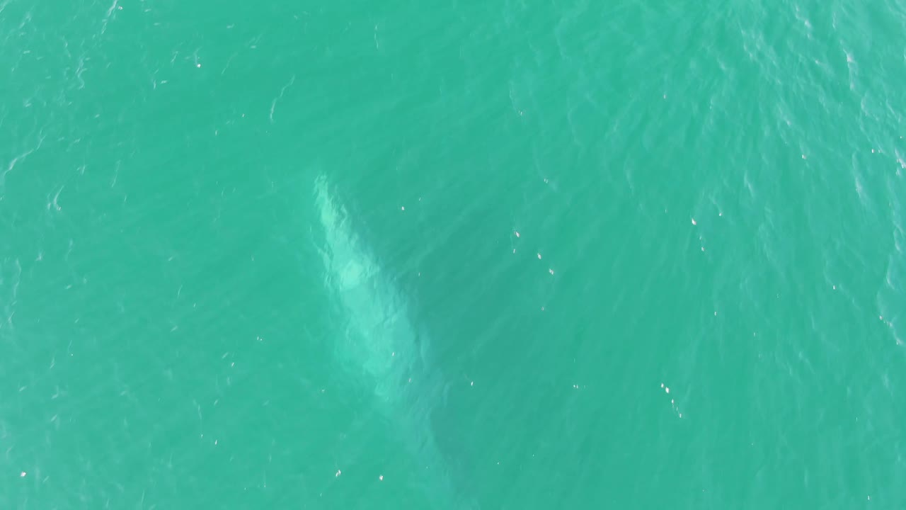 Pale whale shape near the lower left under turquoise water.
