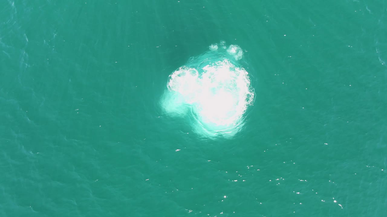 At Buzzards Beach in Baja California Sur, the foamy white shape spreads wider across the turquoise water surface, with no visible people.