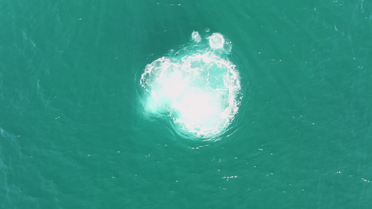 Large white foam bloom with ripples in turquoise water.
