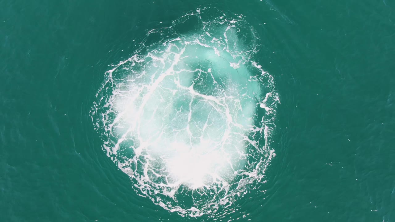Top-down view of a bright white foam ring forming a compact ocean vortex at Buzzards Beach, Baja California Sur, with no visible people.