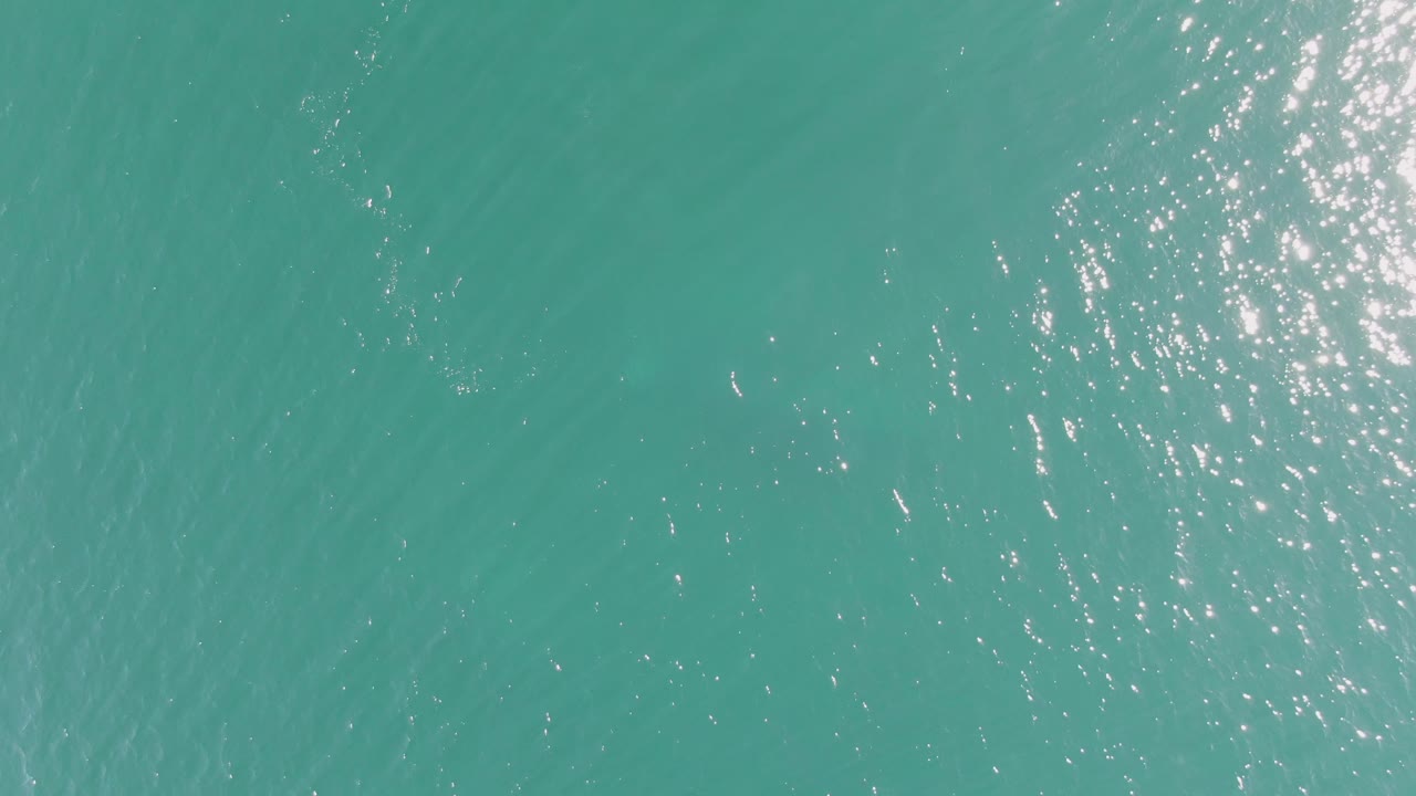 Top-down frame of Buzzards Beach turquoise ocean with broad clusters of white sun glints, soft ripple lines, and only a faint underwater form visible, no visible people.
