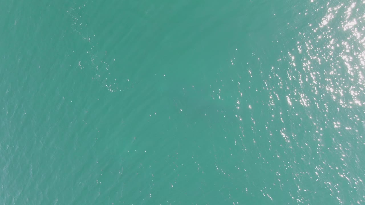 Overhead Buzzards Beach water frame with turquoise color, fine ripples, small sparkle patches, and faint underwater streaks where the marine animal is no longer clearly defined, no visible people.