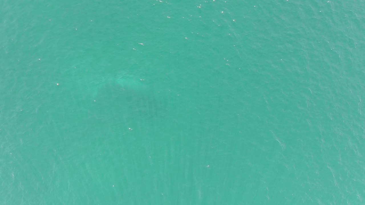 Clear turquoise water with subtle ripples and a soft dark underwater form.