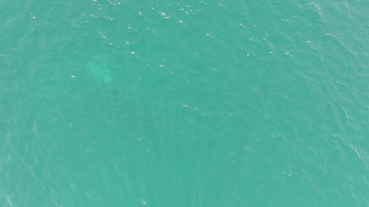 Turquoise ocean surface with ripples and faint underwater shape