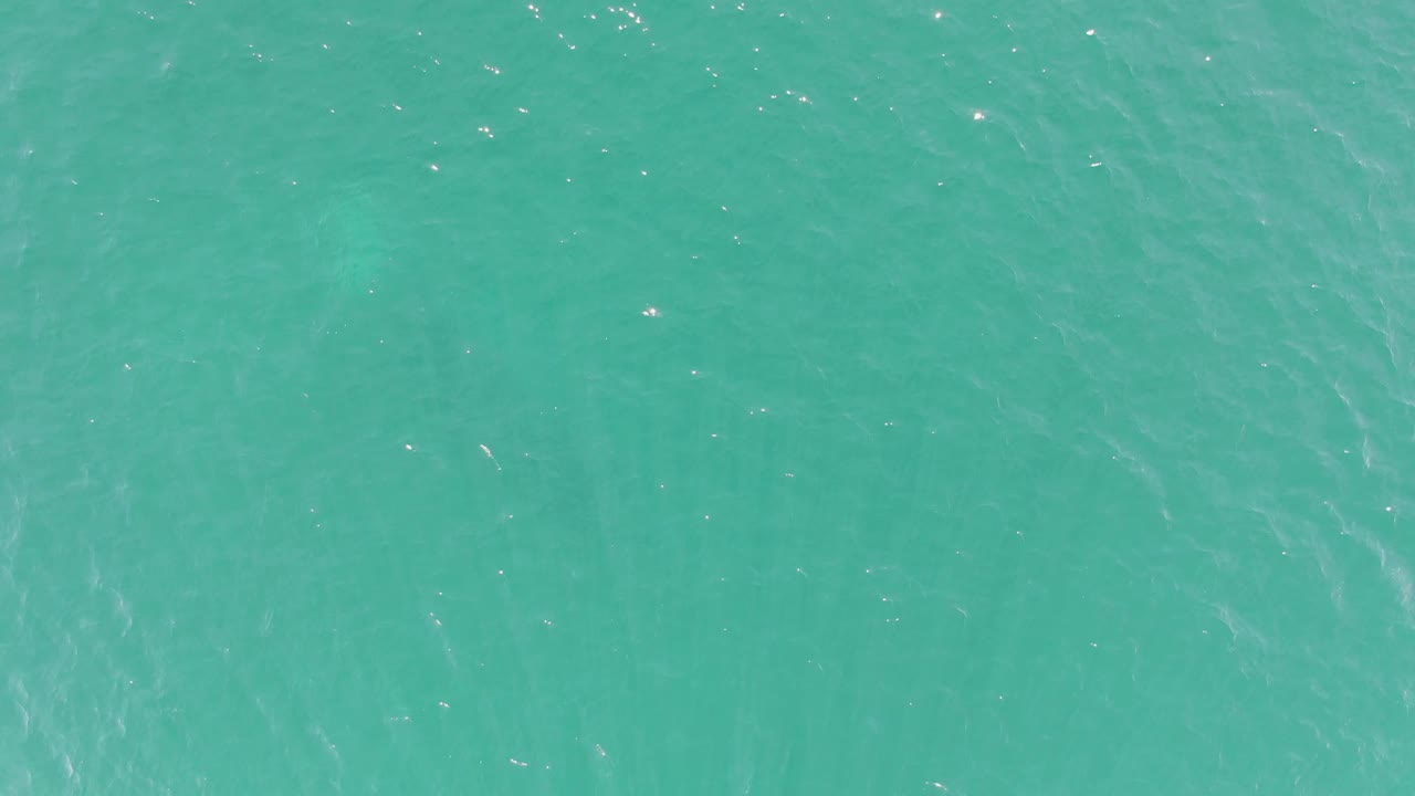 Turquoise ocean surface at Buzzards Beach shows gentle ripple lines, scattered bright highlights, a dim underwater animal shadow, and no visible people.