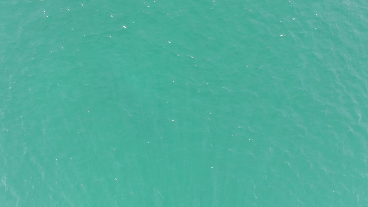 A top-down Buzzards Beach frame shows pale ripple streaks across turquoise sea water with the submerged animal trace faint near the surface and no visible people.
