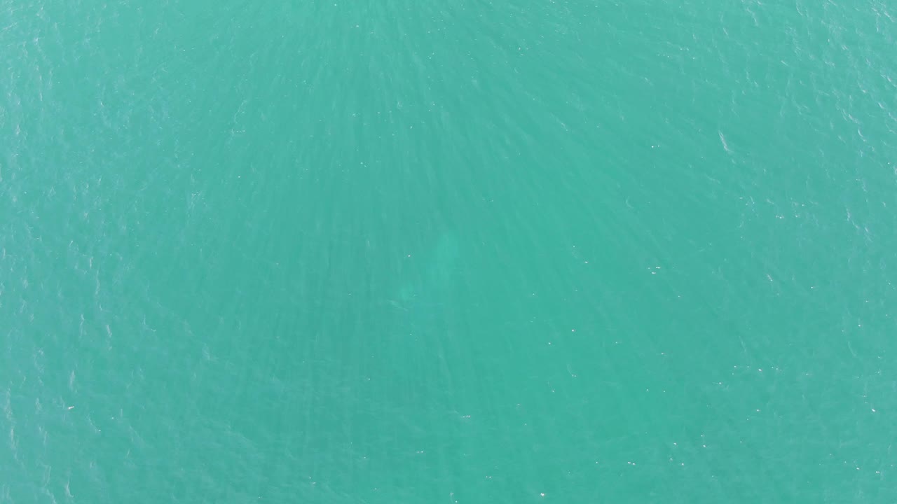 Turquoise ocean surface with faint submerged shark silhouette.