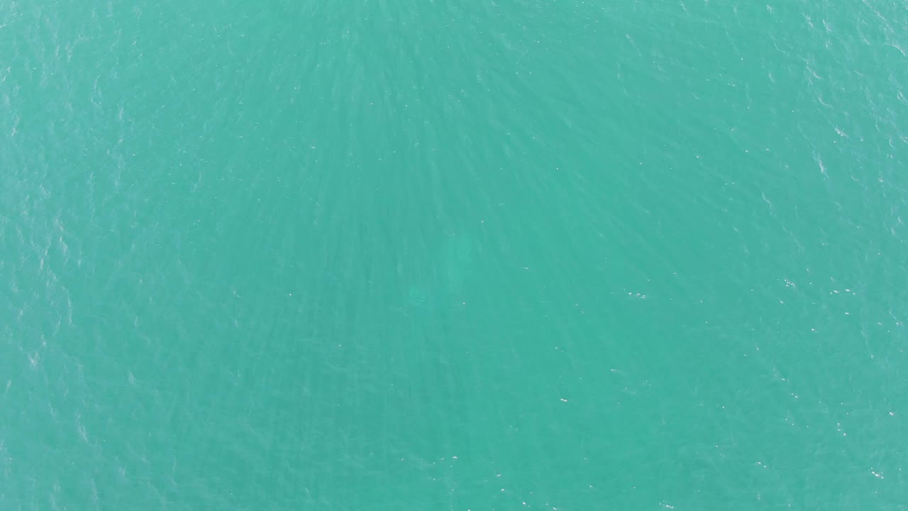 A dark shark form sits beneath clear turquoise water in Buzzards Beach, East Cape BCS, with light surface texture and no visible people.