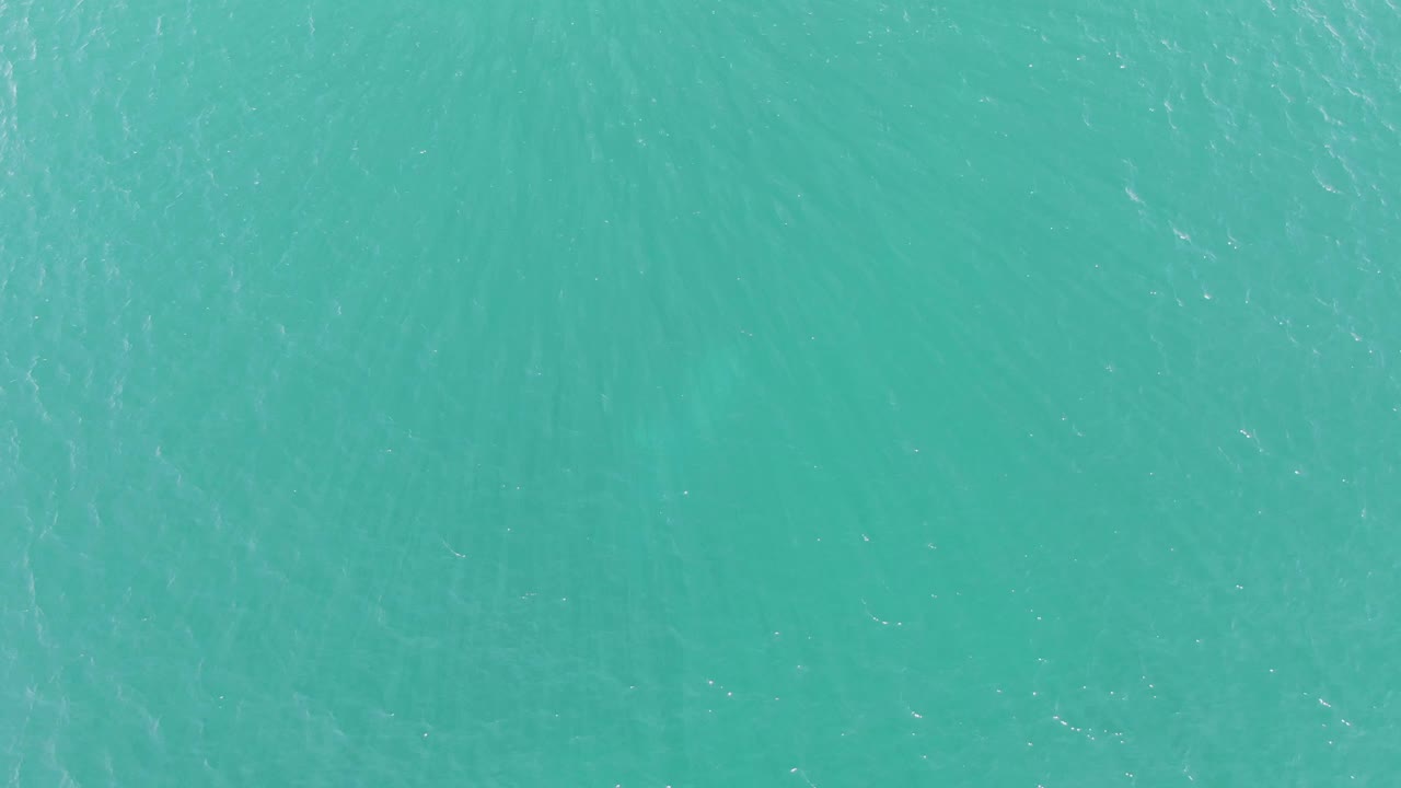 Blue-green ocean fills the frame at Buzzards Beach, East Cape BCS, with the shark silhouette faintly visible beneath the surface and no visible people.