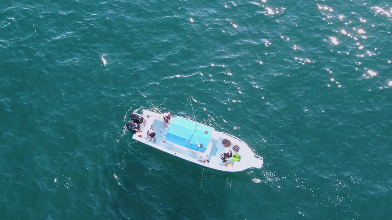 White boat with blue canopy surrounded by sunlit turquoise sea.
