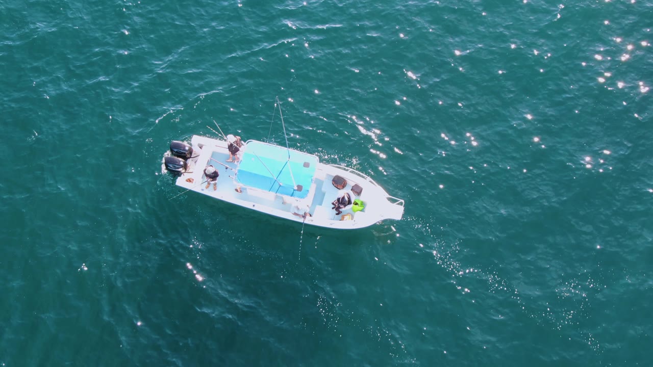 Aerial view of a small white boat with a blue canopy and visible passengers floating on turquoise water at Buzzards Beach, Baja California Sur.