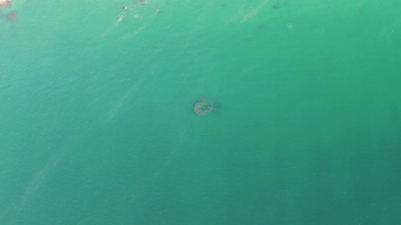 Second frame of the Buzzards Beach water view, with the circular dark patch sitting low in the frame beneath gentle ripples and no visible people.