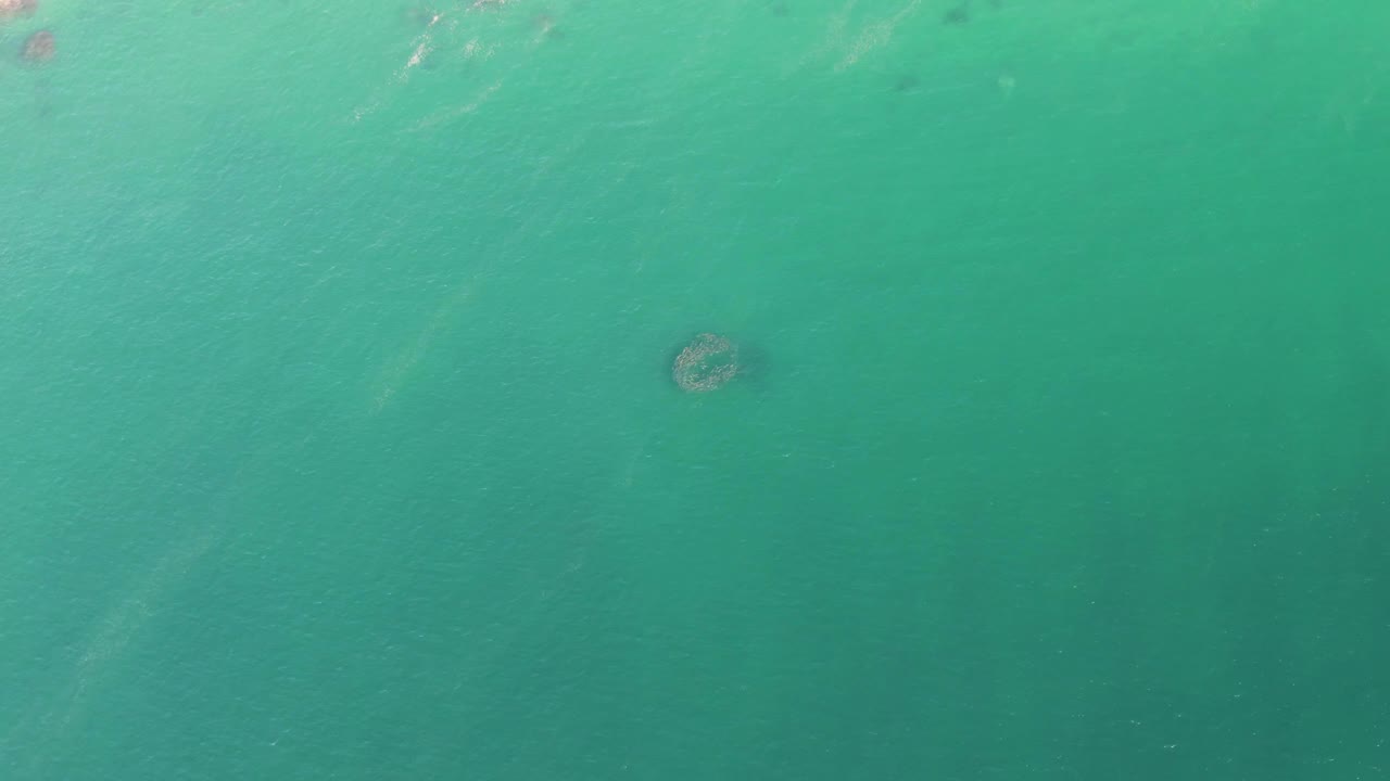 Third frame at Buzzards Beach showing green-blue ocean water with the dark circular formation slightly softened by surface movement and no visible people.