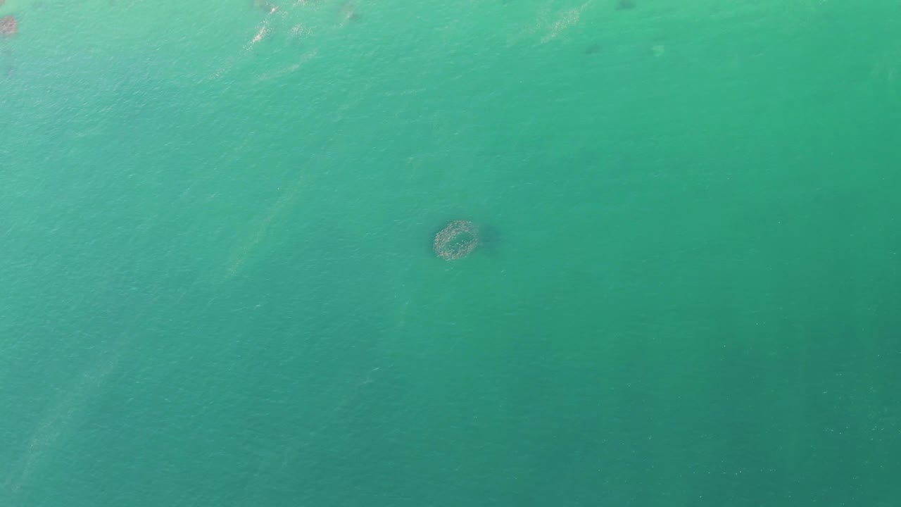 Turquoise ocean water with a small circular underwater structure near center.