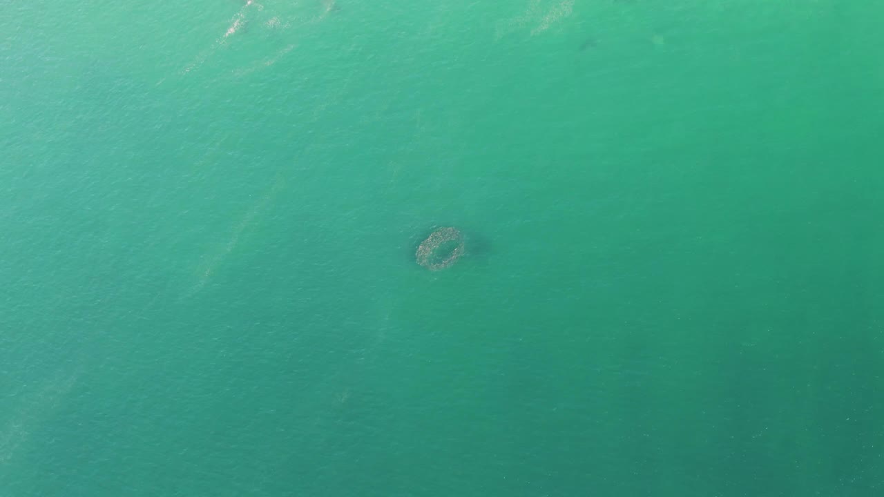 Overhead frame of clear turquoise water at Buzzards Beach, Baja California Sur, with the circular submerged structure near the lower middle and no visible people.