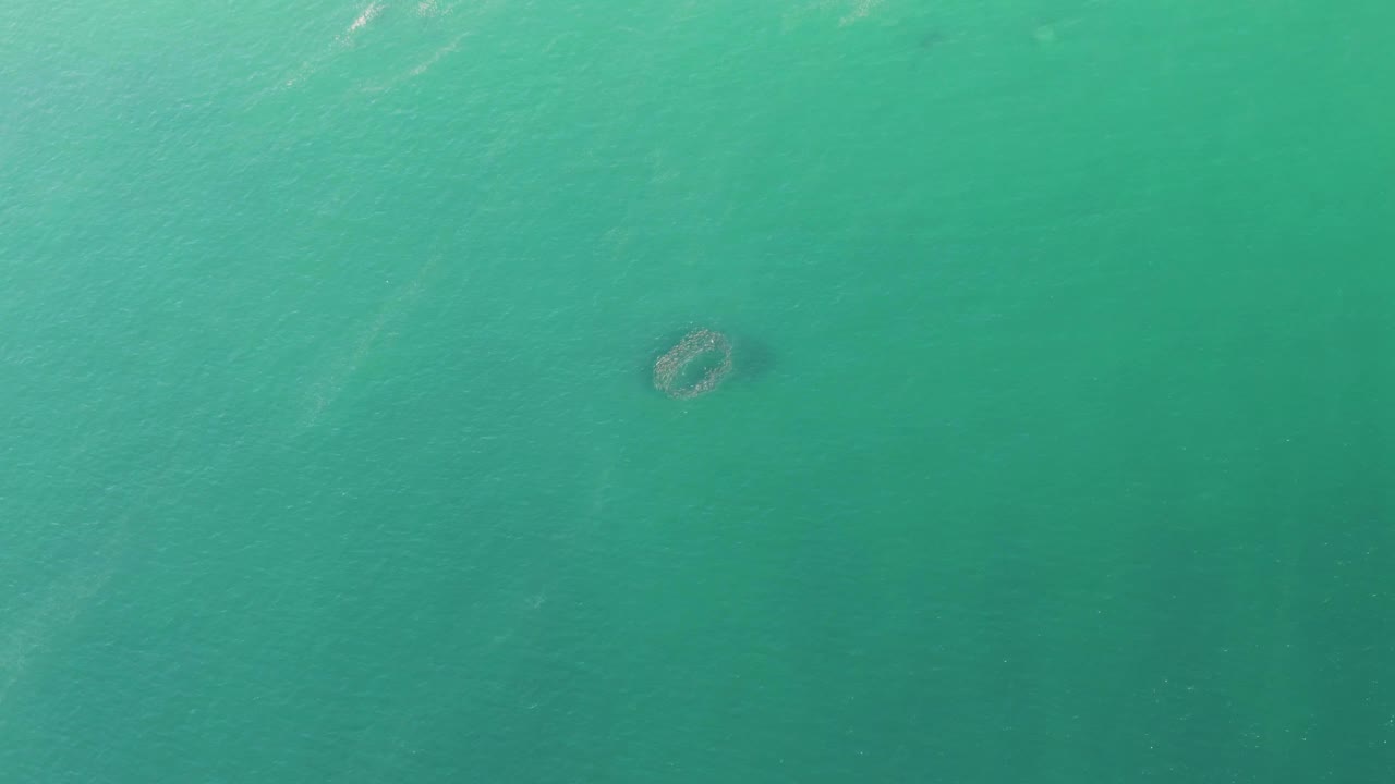 Overhead shot at Buzzards Beach, Baja California Sur, with the circular submerged structure low in the frame beneath lightly rippled turquoise water and no visible people.