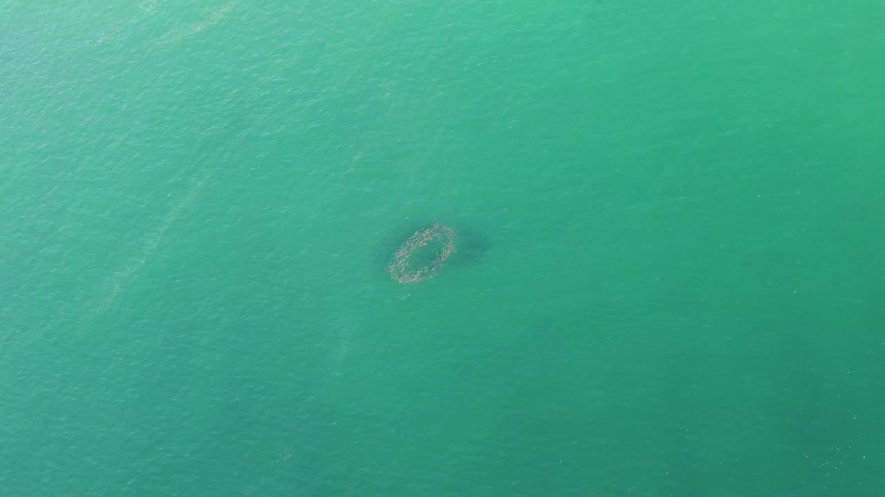 At 0:01, the circular underwater structure sits slightly left of center beneath rippled turquoise water at Buzzards Beach, with no visible people.
