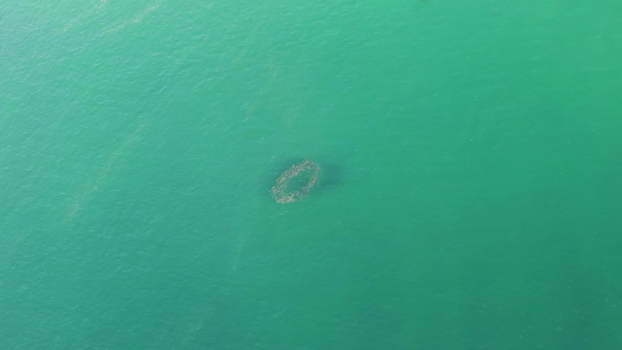 At 0:02, the overhead view shows the circular underwater structure near the upper middle of the turquoise water, with no visible people.