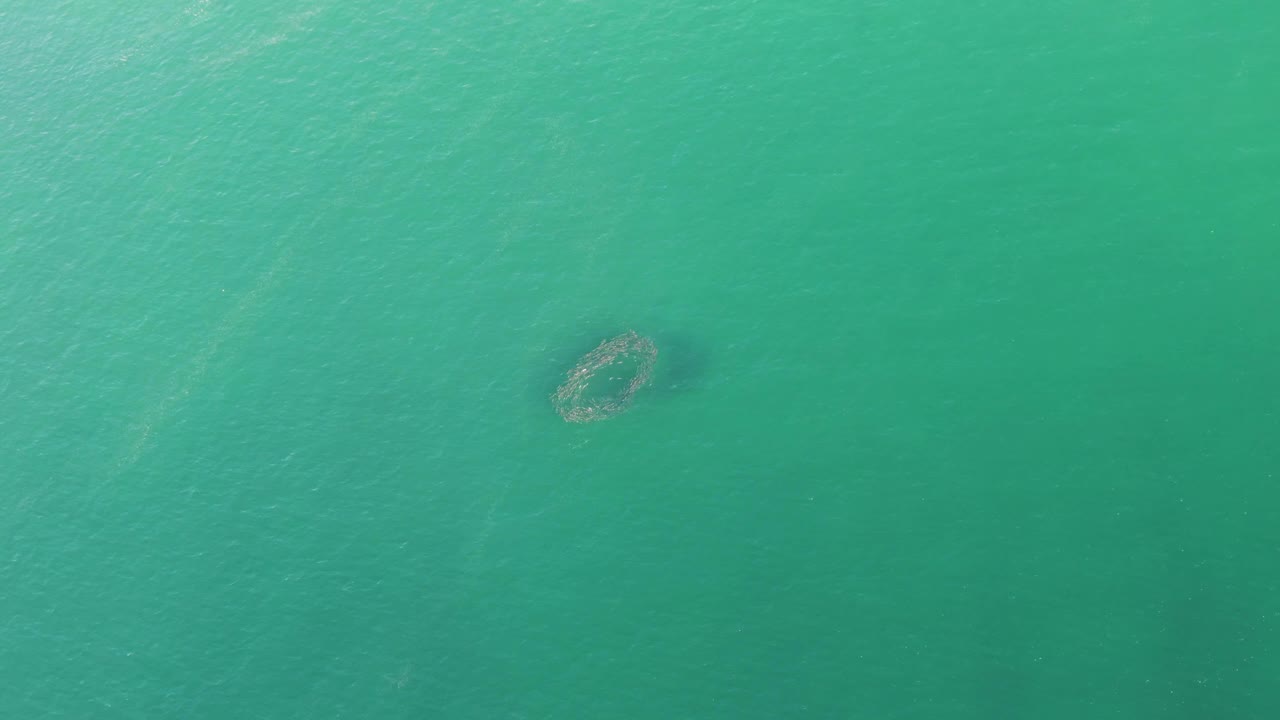 At 0:03, the submerged circular structure appears nearer the lower left under turquoise water at Buzzards Beach, with no visible people.