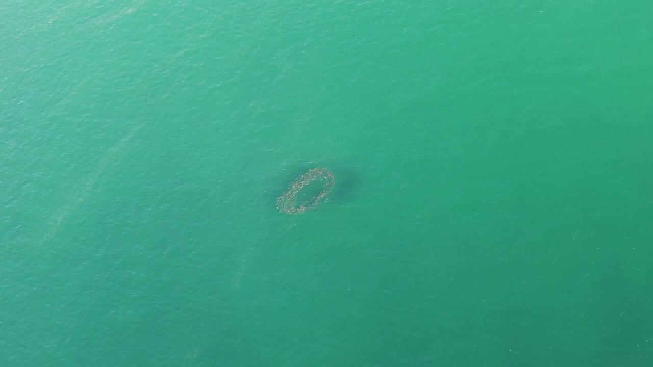 Turquoise ocean water with a small circular submerged formation near the upper left.