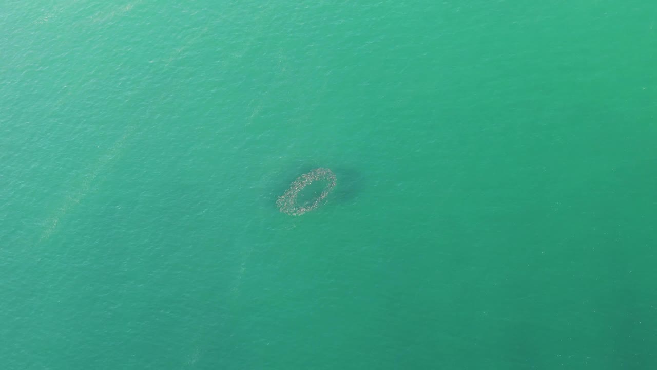 Aerial frame over Buzzards Beach water with the circular submerged structure closer to the center and faint ripples crossing the turquoise surface, no visible people.