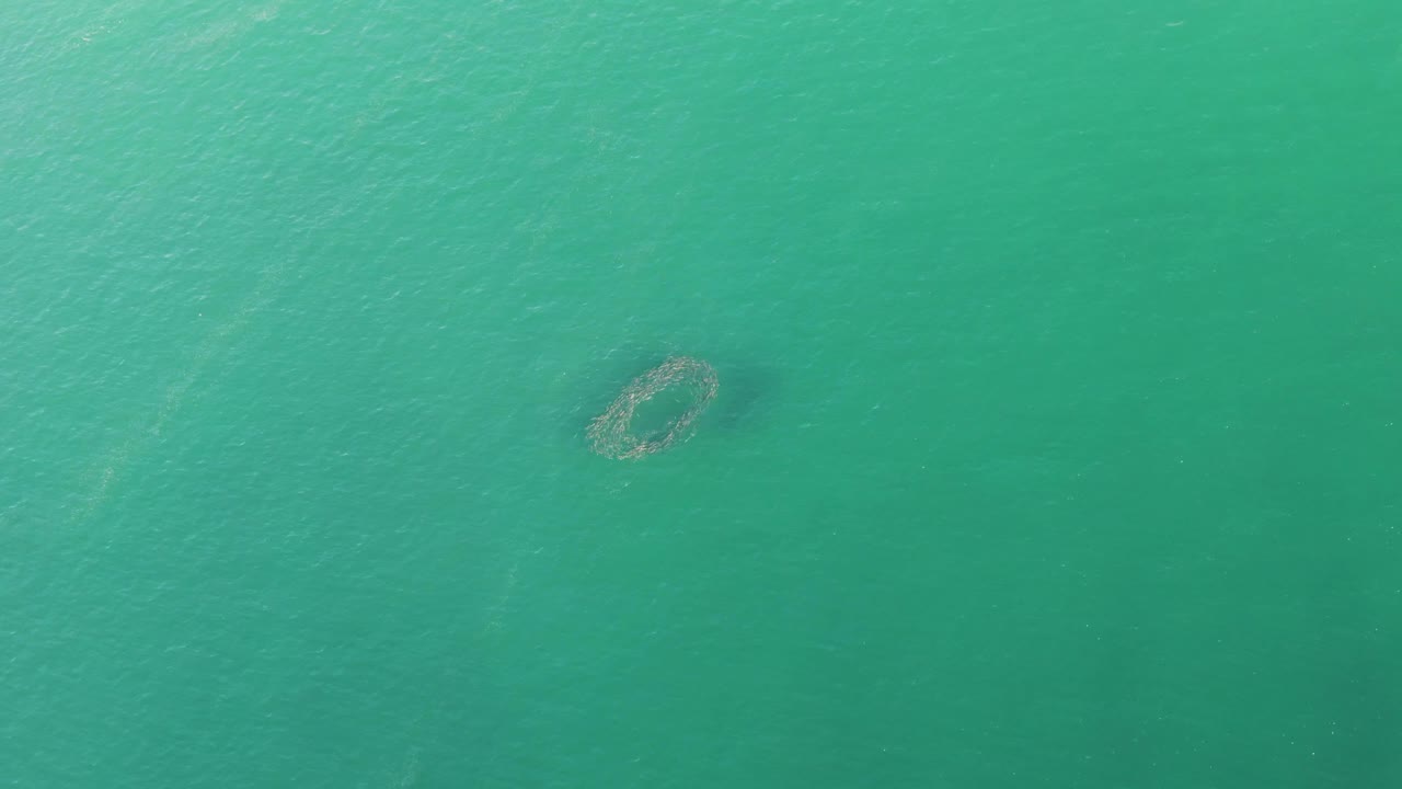 Overhead Buzzards Beach ocean view showing the circular underwater formation shifted toward the upper right within a wide field of rippled turquoise water, no visible people.
