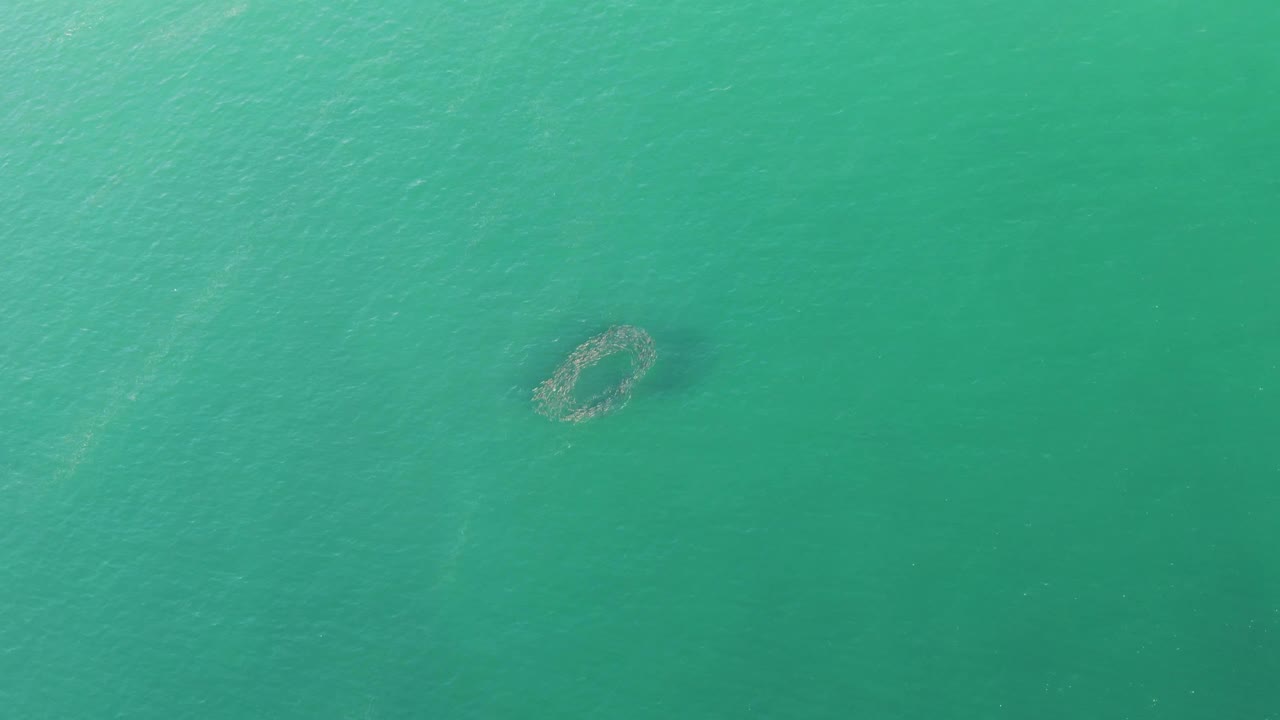 Aerial view at Buzzards Beach with the submerged circular formation lower in the frame and pale ripples visible across the green-blue water, no visible people.