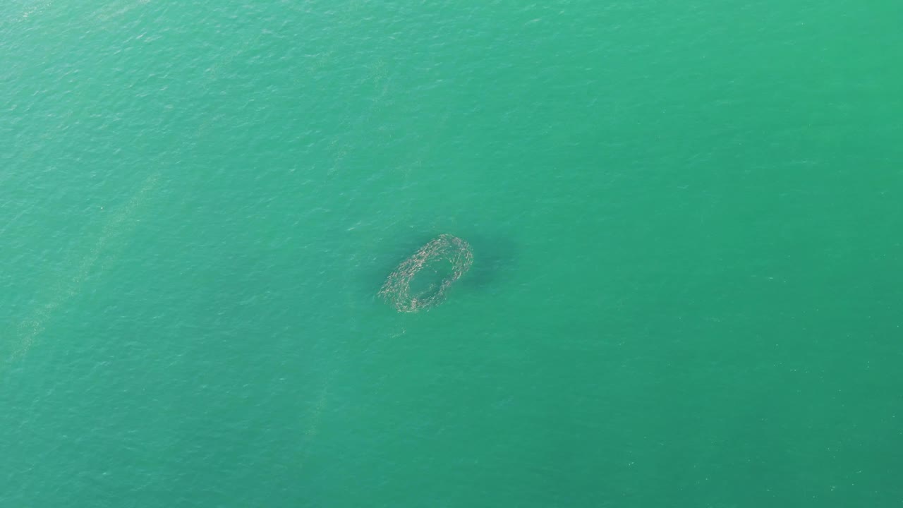 Aerial frame over Buzzards Beach water showing the darker submerged ring nearer the upper center, with faint ripples and no visible people.