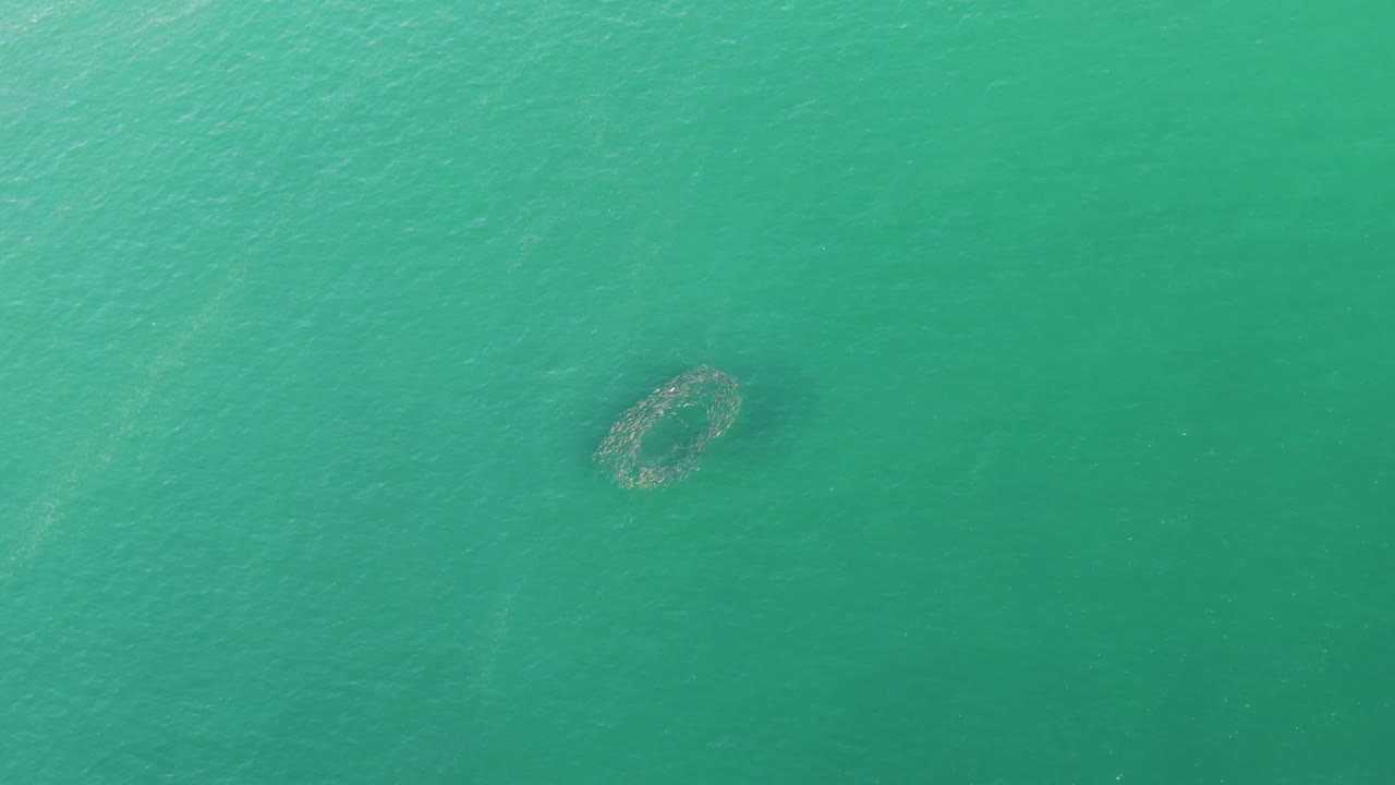 Overhead Buzzards Beach ocean view with the submerged ring-shaped formation toward the right side, surrounded by smooth turquoise water and no visible people.
