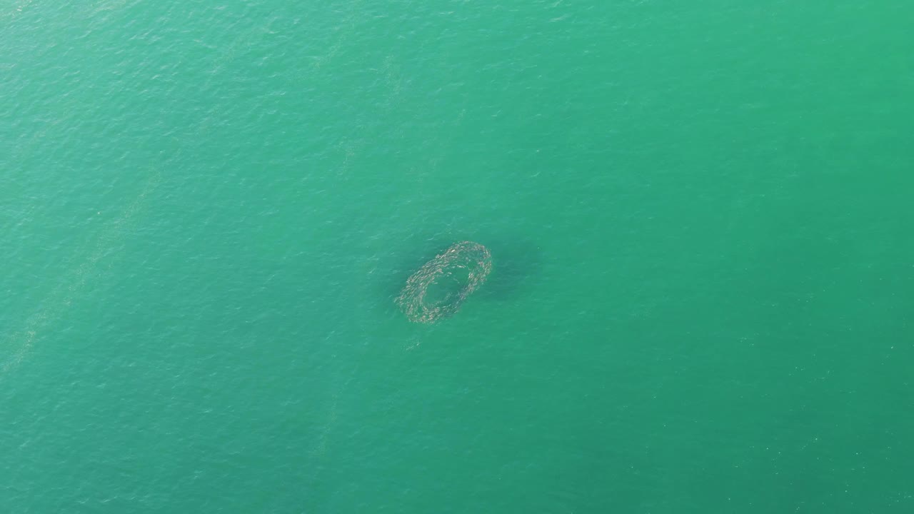 Turquoise ocean surface with a submerged ring formation near lower left.