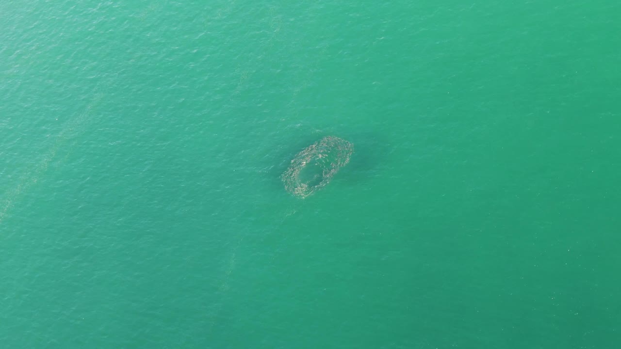 Circular aquaculture net appears toward the upper right of open green-turquoise water at Buzzards Beach, Baja California Sur, with no visible people.