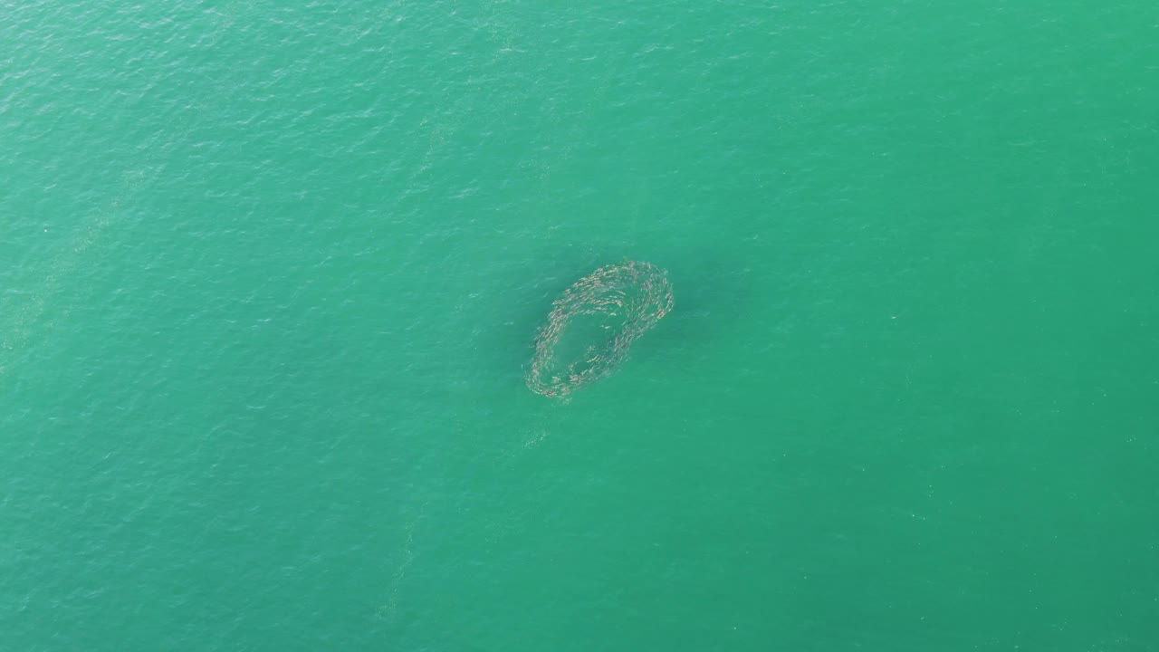 The circular net remains near the upper area of the overhead frame as ripples shift across the turquoise water at Buzzards Beach, with no visible people.