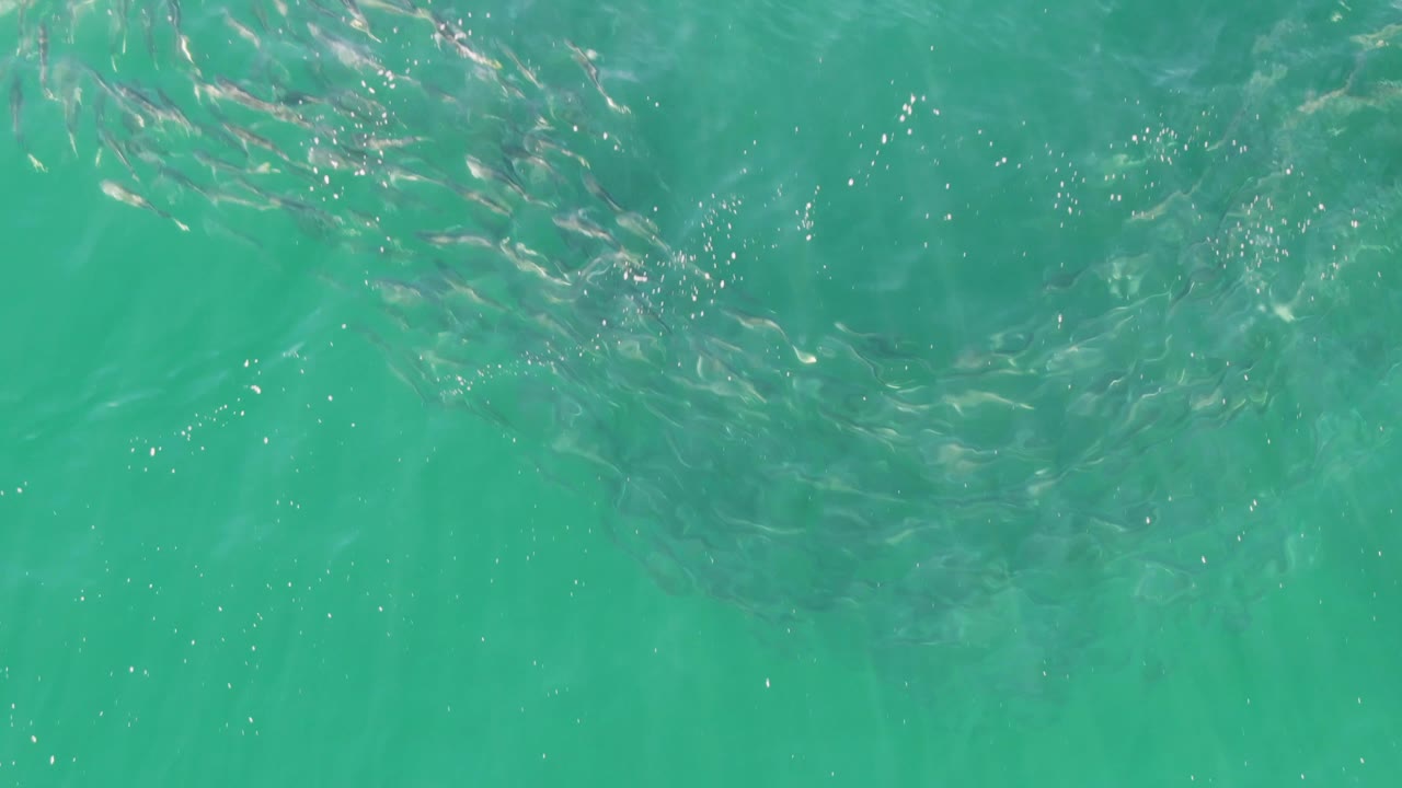Small fish are faintly visible under rippled turquoise water at Buzzards Beach, Baja California Sur, with no visible people.