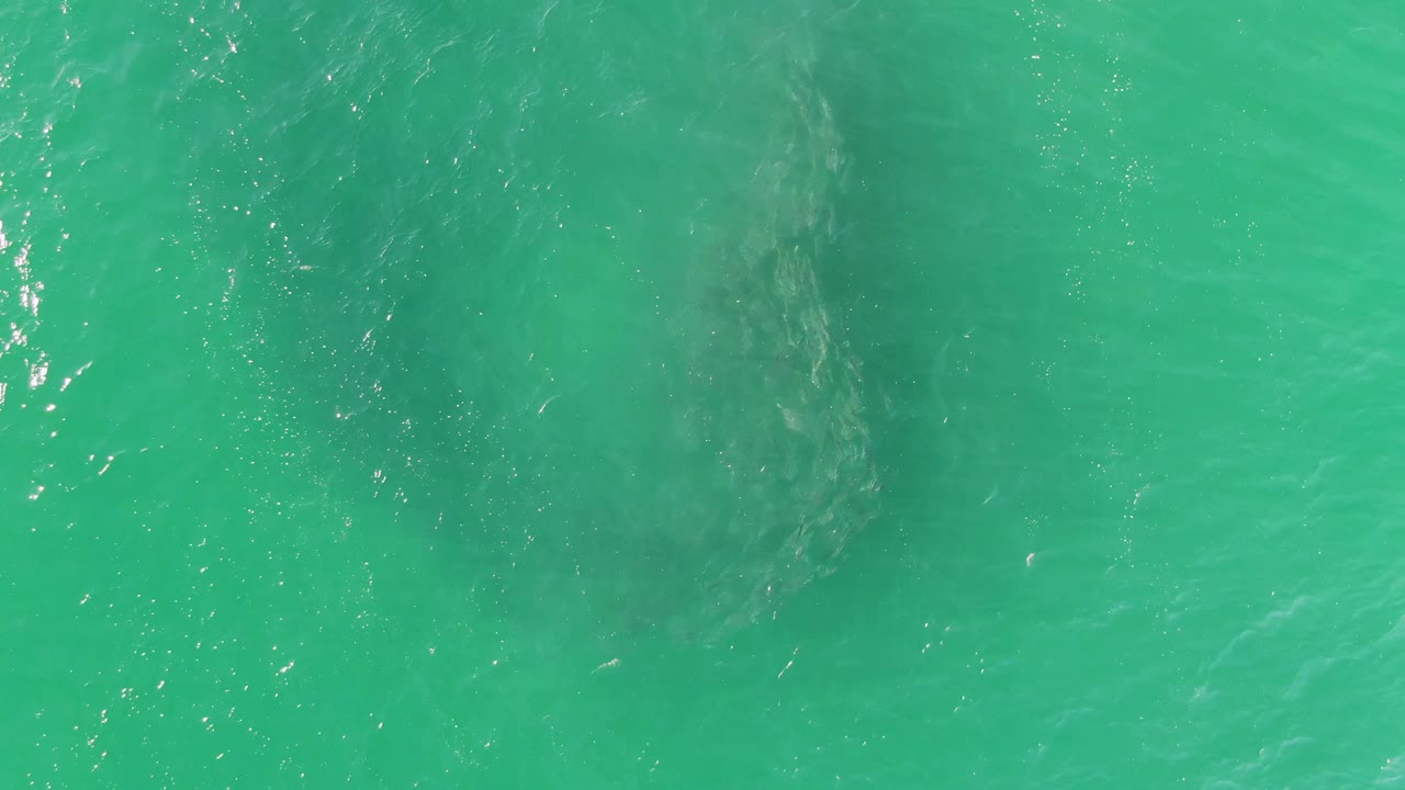Overhead turquoise water at Buzzards Beach, Baja California Sur, with a dark submerged whirlpool area beginning near the left side and no visible people.